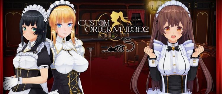 Custom Order Maid 3D2 review