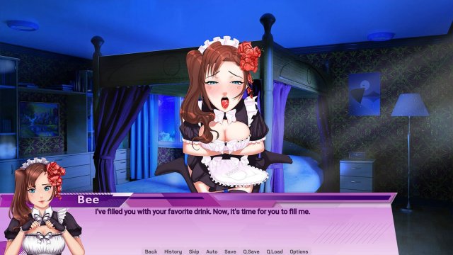 M.A.I.D.s gameplay screenshot